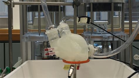 testing a soft artificial heart|artificial heart simulator.